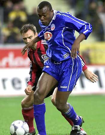 AI在自然 AI在自然