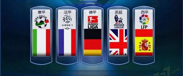 提高樟子松 提高樟子松